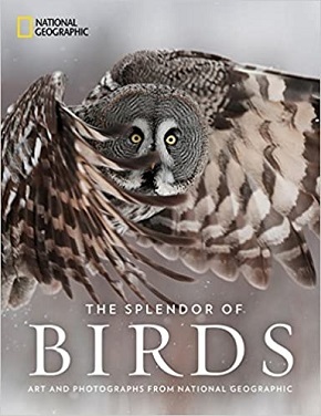 The Splendor of Birds: Art and Photographs From National Geographic