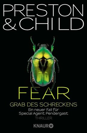 Fear - Grab des Schreckens (eBook, ePUB)