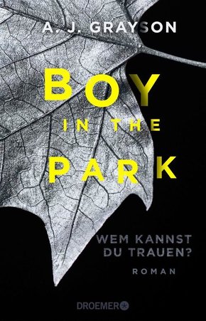 Boy in the Park - Wem kannst du trauen? (eBook, ePUB)