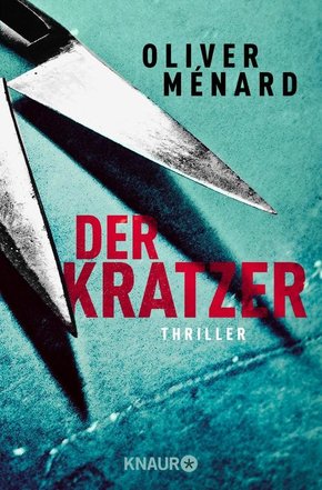 Der Kratzer (eBook, ePUB)