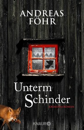 Unterm Schinder (eBook, ePUB)