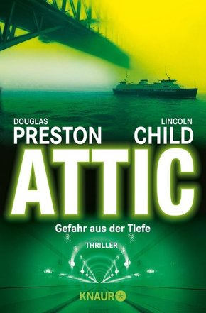Attic (eBook, ePUB)