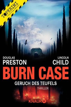 Burn Case (eBook, ePUB)