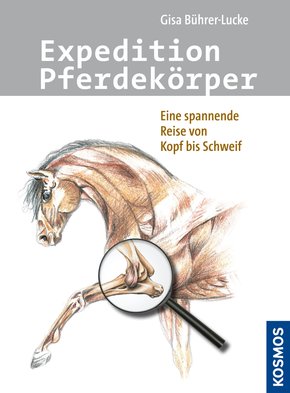 Expedition Pferdekörper (eBook, ePUB)