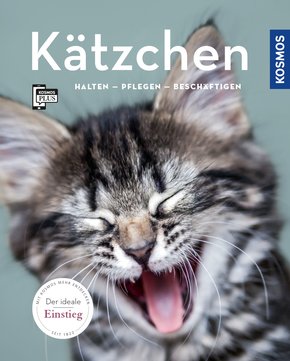 Kätzchen (eBook, PDF)