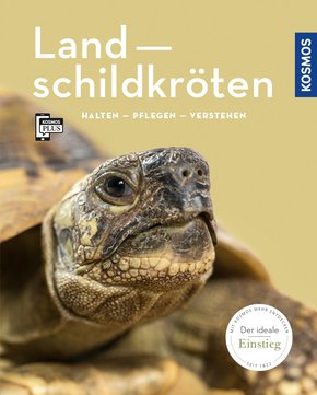 Landschildkröten (eBook, PDF)