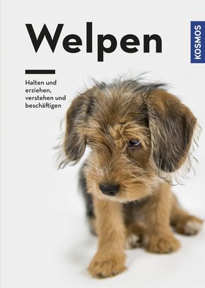 Welpen (eBook, ePUB)