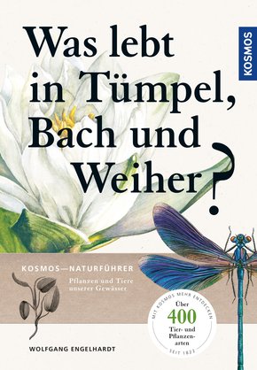 Was lebt in Tümpel, Bach und Weiher (eBook, PDF)