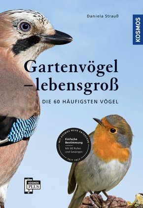 Gartenvögel lebensgroß (eBook, PDF)