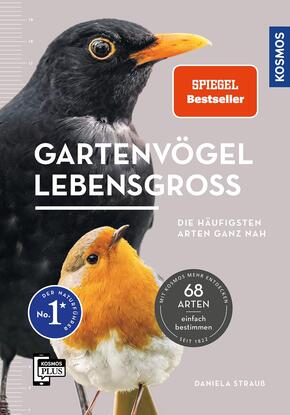 Gartenvögel lebensgroß