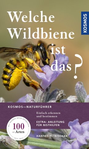 Welche Wildbiene ist das? (eBook, PDF)
