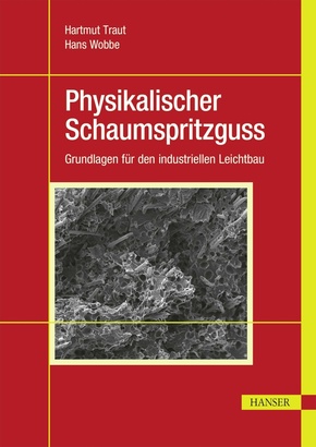 Physikalischer Schaumspritzguss (eBook, PDF)