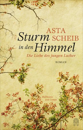 Sturm in den Himmel (eBook, ePUB)
