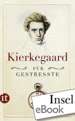 Kierkegaard für Gestresste (eBook, ePUB)