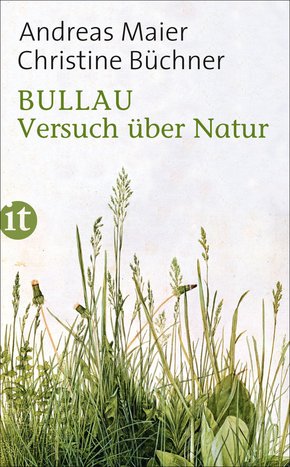 Bullau (eBook, ePUB)