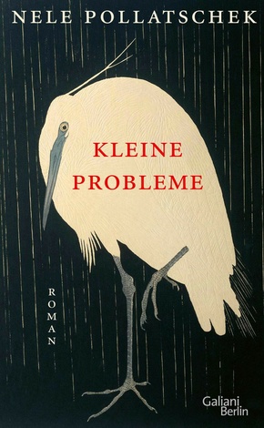 Kleine Probleme (eBook, ePUB)