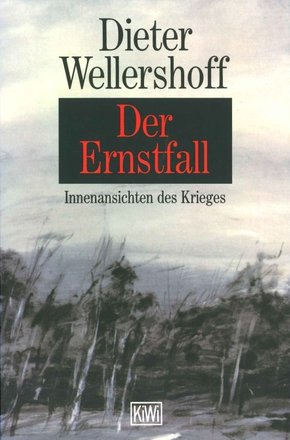 Der Ernstfall (eBook, ePUB)