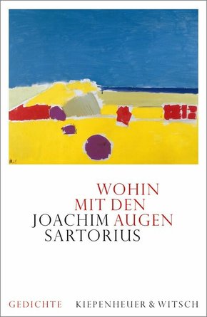 Wohin mit den Augen (eBook, ePUB)