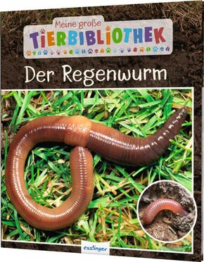 Meine große Tierbibliothek: Der Regenwurm