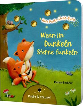 Mein Puste-Licht-Buch: Wenn im Dunkeln Sterne funkeln