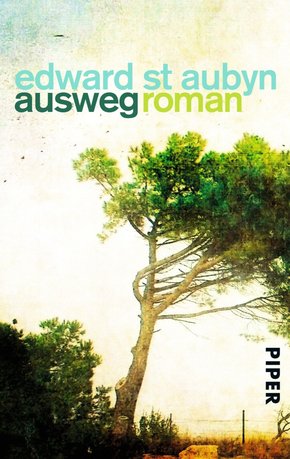 Ausweg (eBook, ePUB)
