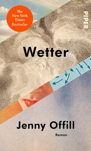 Wetter (eBook, ePUB)