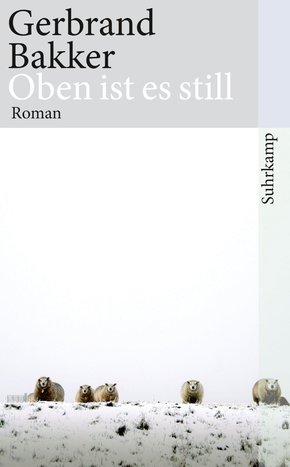 Oben ist es still (eBook, ePUB/PDF)