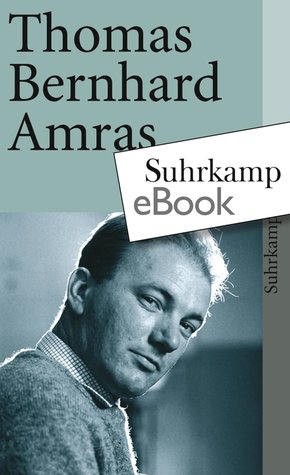Amras (eBook, ePUB)