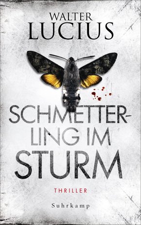 Schmetterling im Sturm (eBook, ePUB)