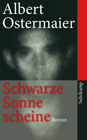 Schwarze Sonne scheine (eBook, ePUB/PDF)