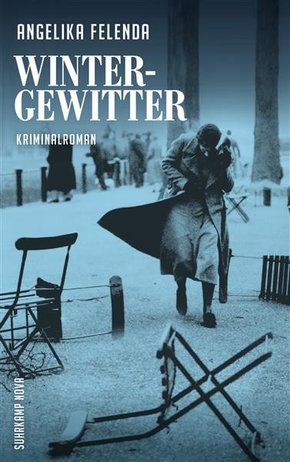 Wintergewitter (eBook, ePUB)