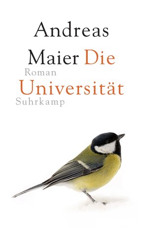 Die Universität (eBook, ePUB)