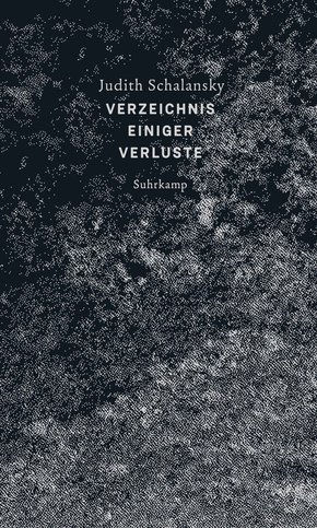 Verzeichnis einiger Verluste (eBook, ePUB)