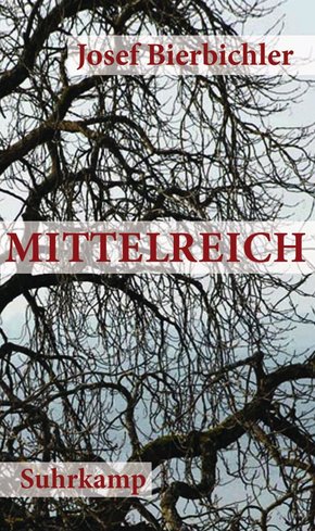 Mittelreich (eBook, ePUB/PDF)
