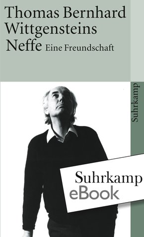 Wittgensteins Neffe (eBook, ePUB)