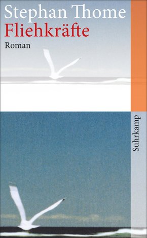 Fliehkräfte (eBook, ePUB/PDF)