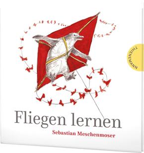 Fliegen lernen