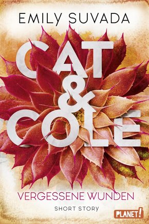 Cat & Cole: Vergessene Wunden (eBook, ePUB)