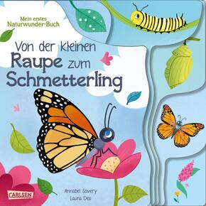 Von der kleinen Raupe zum Schmetterling