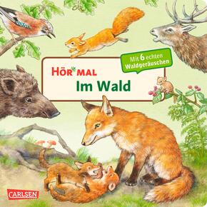 Hör mal (Soundbuch): Im Wald