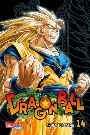 Dragon Ball Massiv - Bd.14