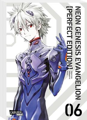 Neon Genesis Evangelion - Perfect Edition 6