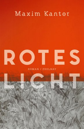 Rotes Licht (eBook, ePUB)