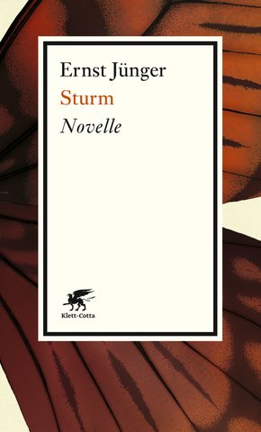 Sturm (eBook, ePUB)