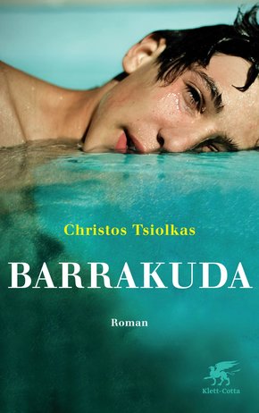 Barrakuda (eBook, ePUB)
