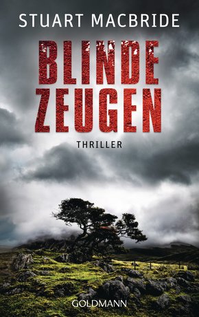 Blinde Zeugen (eBook, ePUB)