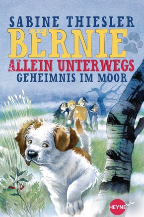 Bernie allein unterwegs - Geheimnis im Moor (eBook, ePUB)