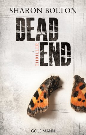 Dead End - Lacey Flint 2 (eBook, ePUB)