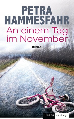 An einem Tag im November (eBook, ePUB)