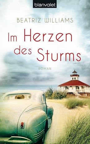 Im Herzen des Sturms (eBook, ePUB)